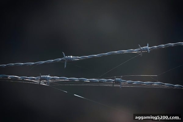 slots平台视角下：网络捕鱼游戏的安全隐患与理性参与指南
